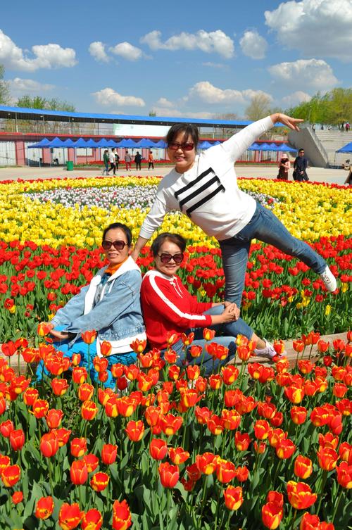 游青格达湖 赏郁金香花