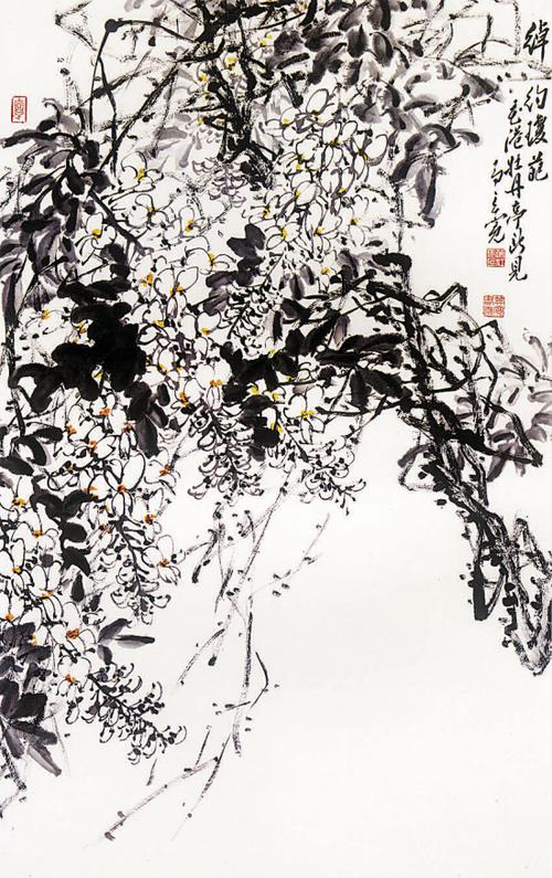 马其宽 绰约琼葩