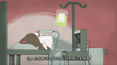 医师开始使用 乙醚, 来镇静拔牙及手术的患者.