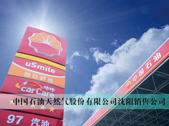 辽宁龙天防雷技术有限责任公司,自2016年7月在沈阳市工商局注册成立的