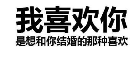 我喜欢你,是想和你结婚的那种喜欢 - 纯文字表情包,也很有杀伤性!