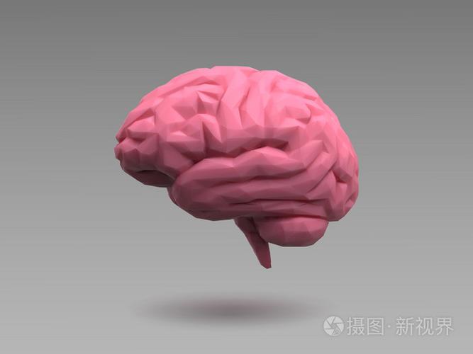 低聚粉红色大脑自然采光的样子