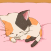 动图gif
