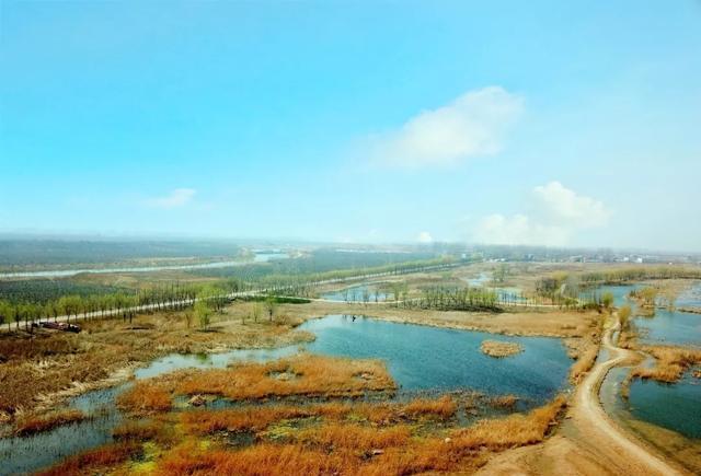 丰县大沙河离国家级水利风景区不远了