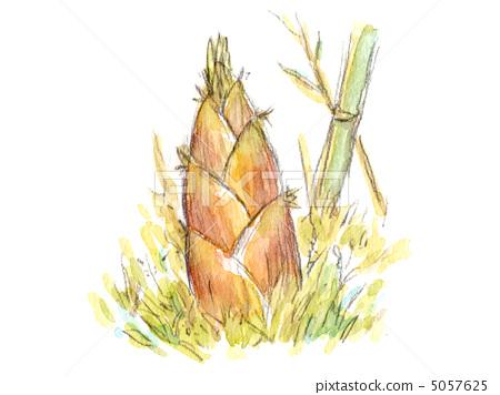 图库插图: 竹笋 食品 原料