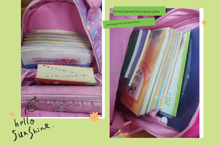 小小书包我会整理――记高密市东关小学二年级劳动教育整理书包活动