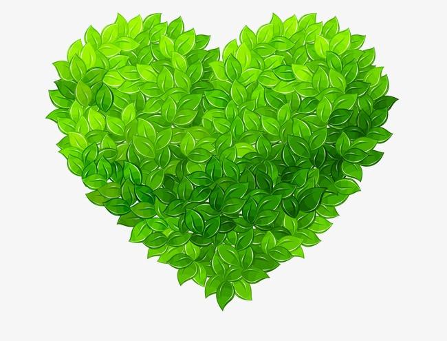 爱心 叶子 绿色 桃心