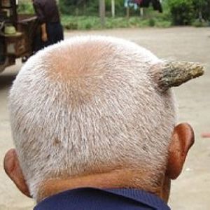 对人类来说,头上长角这种事几乎可以写进天方夜谭,因为实在太离奇了.
