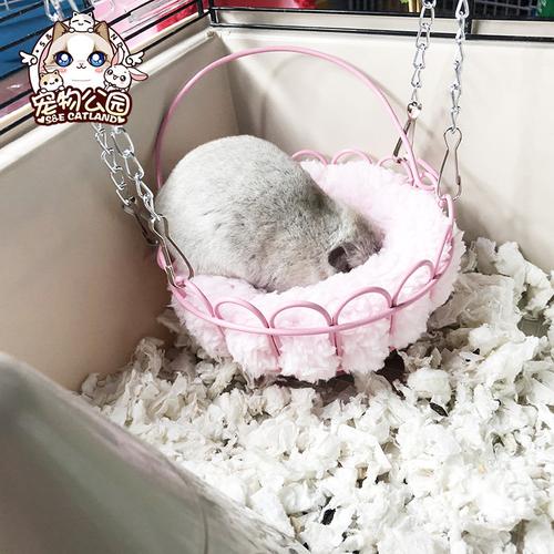 金丝女篮花枝铁艺仓鼠吊床睡房吊篮