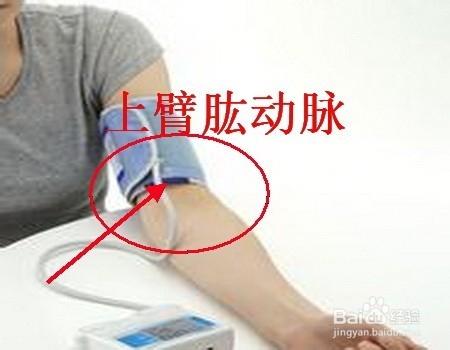 怎样帮老人量血压?