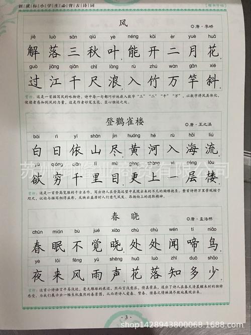 一笔好字 新课标小学生必背古诗词 楷书字帖 罗扬字帖 人教版