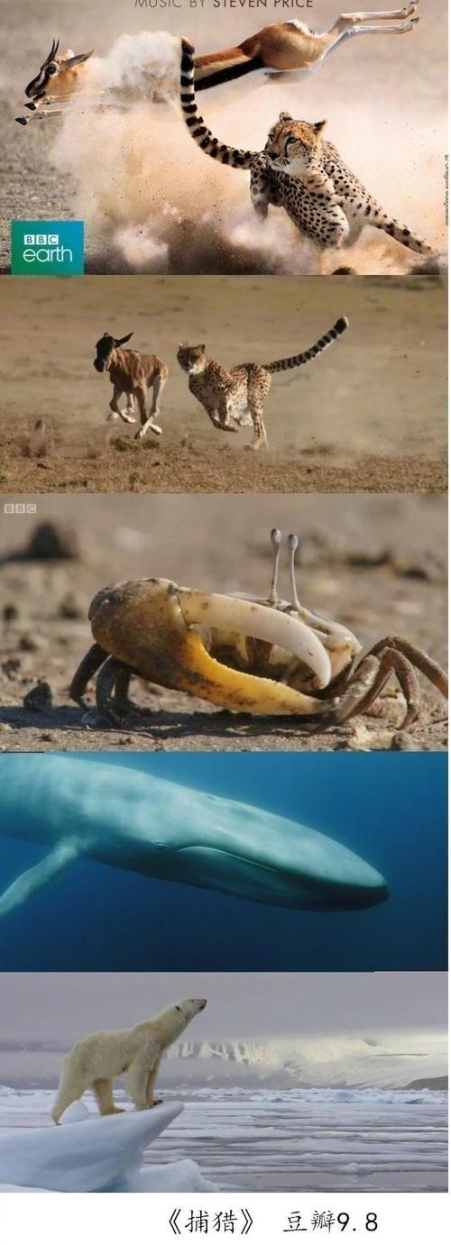 bbc8大神作带你看你无法去旅游的神秘境地