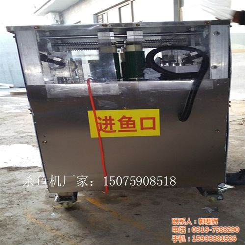 杀鱼机_润民机械_杀鱼机报价