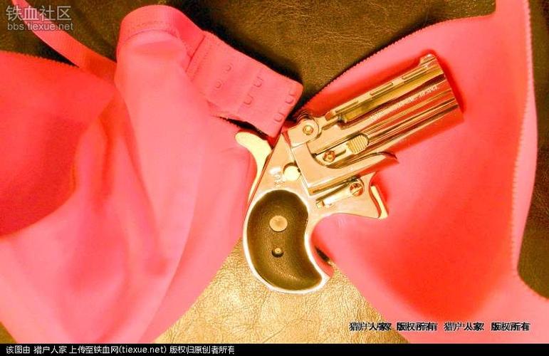 [原创]我赠给美女的手枪 - 德吉林掌心雷