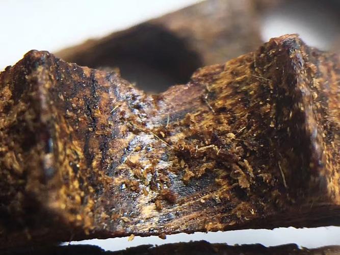 关于奇楠鉴定,奇楠沉香怎么分辨?