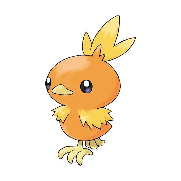 火稚鸡 | 宝可梦图鉴 | the official pokémon web