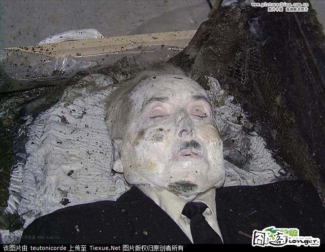 真实的僵尸照 胆小勿进!