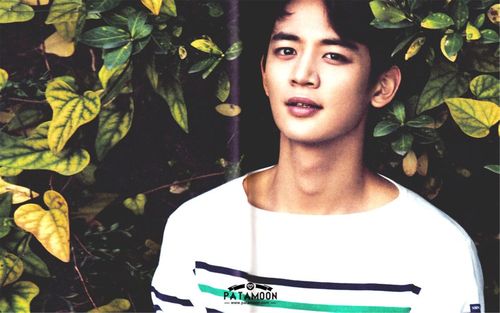 shinee暖男崔珉豪高清帅气写真电脑桌面壁纸下载