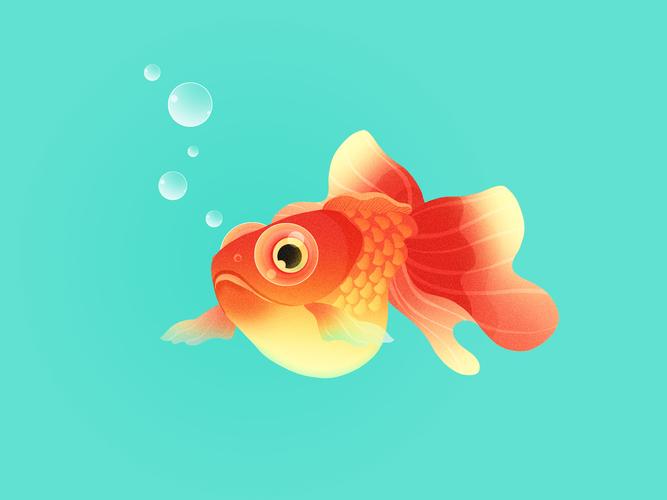 金鱼|插画|商业插画|空山满 - 原创作品 - 站酷