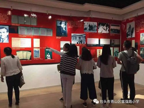 【红色之旅】红星耀中国 党辉照万代——各校组织党员