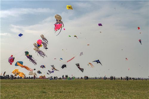 风筝成为文化ip 2019第36届潍坊国际风筝节4月20日如