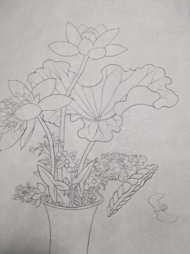 勾线白描稿花瓶系列