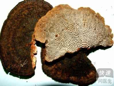 蜂窝灵芝的功效与作用小小蜂窝灵芝功效大