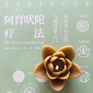 阿育吠陀疗法引言