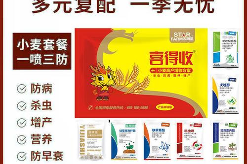 6/袋 小麦套餐 小麦一喷三防高产套餐防病杀虫杀菌白粉病锈病营养小麦