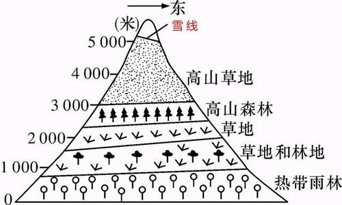 高中地理——每日讲1题(雪线,西南季风,横断山脉,迎风坡)