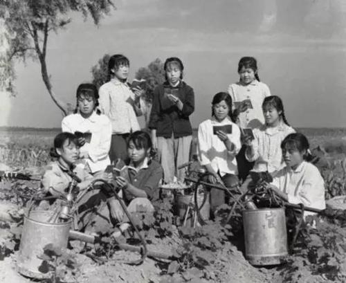 上海知青在黑土地的插队生活