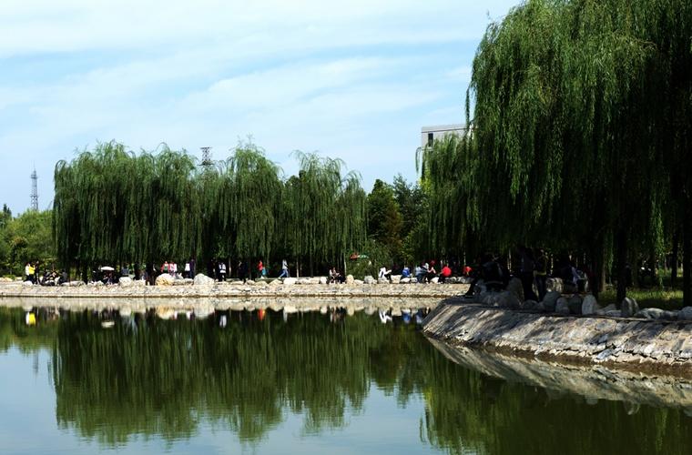 乐山市旅游学校校园环境好吗