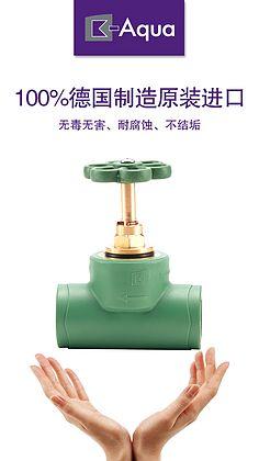 德国贝肯水管