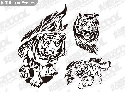 老虎图案