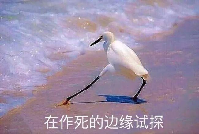 表情包系列第二弹?