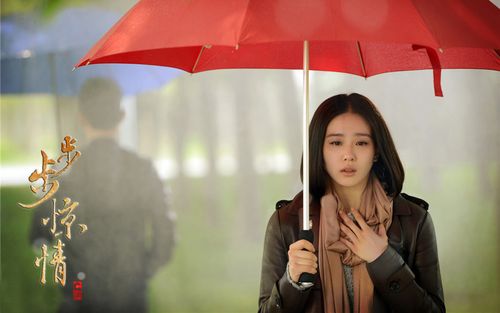 步步惊情电视剧壁纸(4/11)