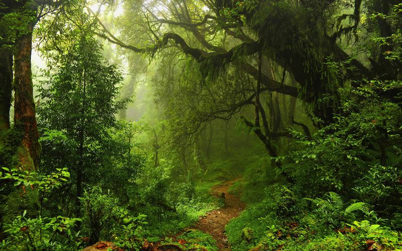 丛林,溪瀑纵横的奇山峻岭,壮                    图片尽在51贴图网