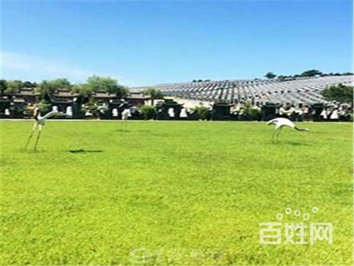 贵阳水田镇福安园公墓 墓地多少钱一块?来电咨询