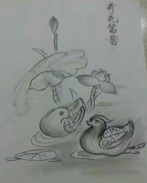 这是小素描,鸳鸯还可爱吧!以下是我给孩子们画得画.我非常开心.