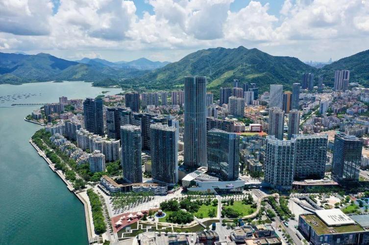 陈清书记参加盐田区第六次党代会各代表团分组讨论