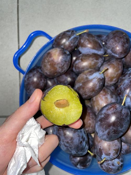 又要到西梅季啦!偶觉得夏天的西梅比冬天更好吃(反馈来了)