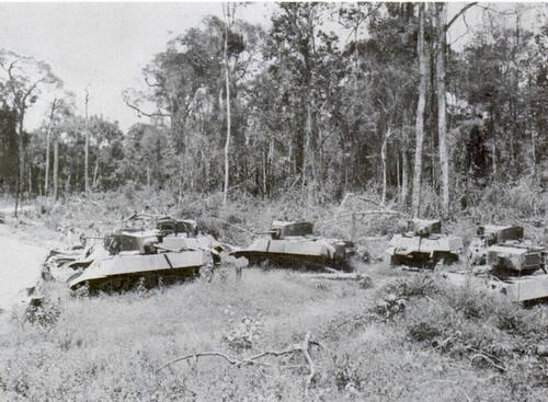 1943年10月胡康河谷战役国军一举击溃日军第18师团