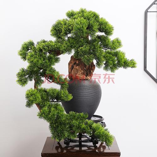 枫叶迎客松盆景假树仿真松树罗汉松景观摆件玄关造景装饰款式03左款