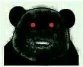 相信为gay熊猫人