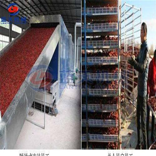 辣椒烘干机厂家辣椒烘干机供应220伏小型辣椒烘干机自制辣椒烘干机