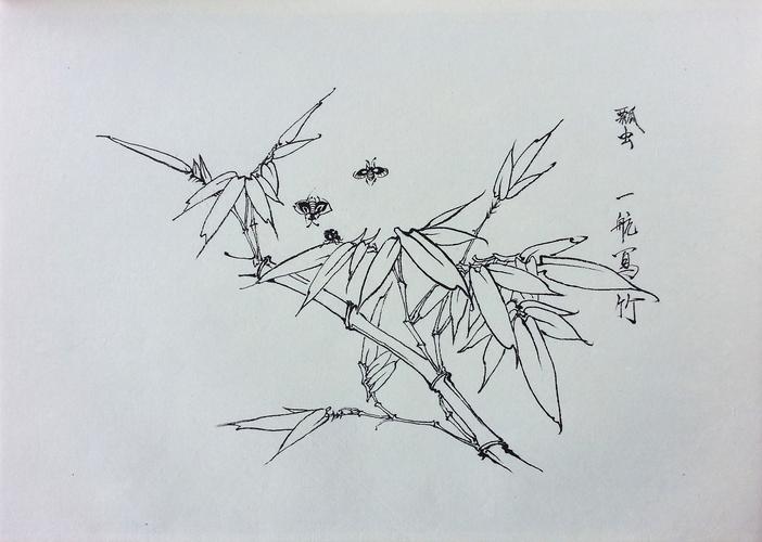 中国花鸟画-工笔白描