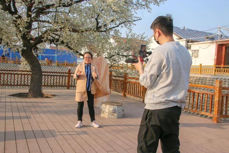 阳信县委书记化身金牌导游带您打卡百年梨园共赏万亩梨花