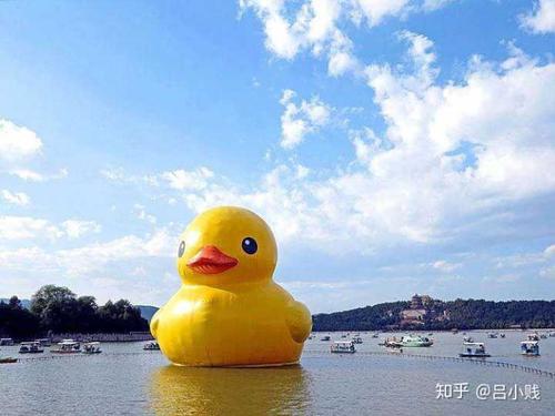 那种水上漂的大黄鸭
