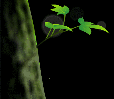 gif 动态图 大树 嫩叶