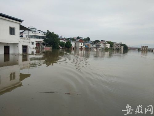 安庆市高新区山口镇村已转移安置22人在山口镇村小学